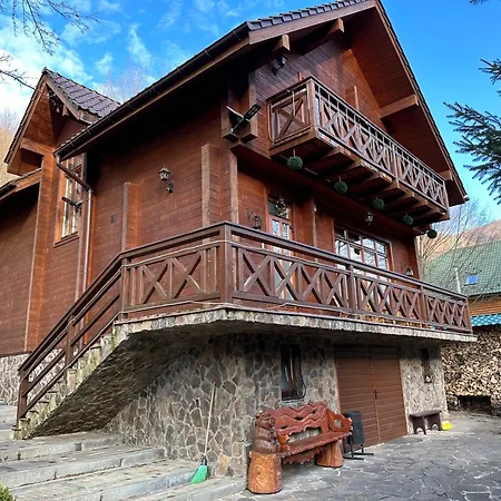 молода вовчиця Apartment