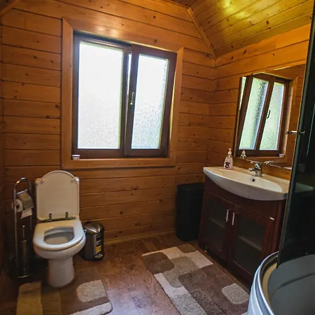 молода вовчиця Apartment