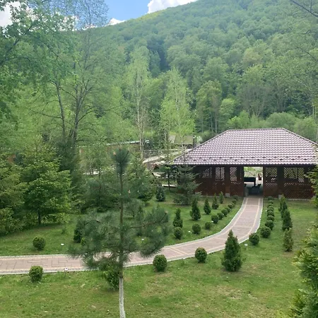 молода вовчиця Sasivka