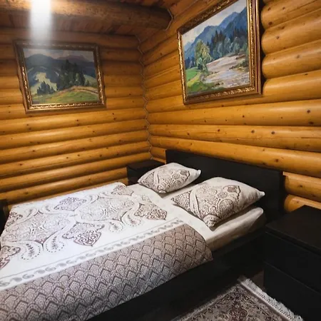 Apartment молода вовчиця