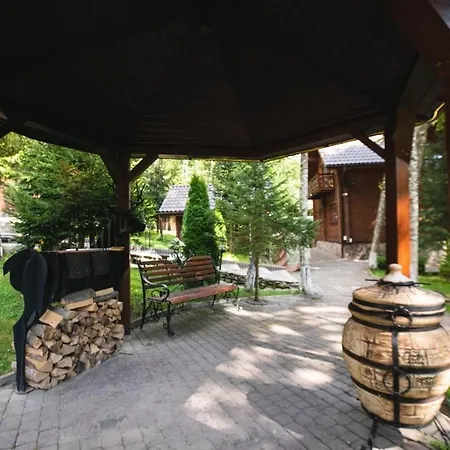 молода вовчиця