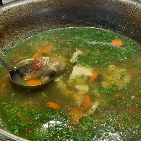 молода вовчиця