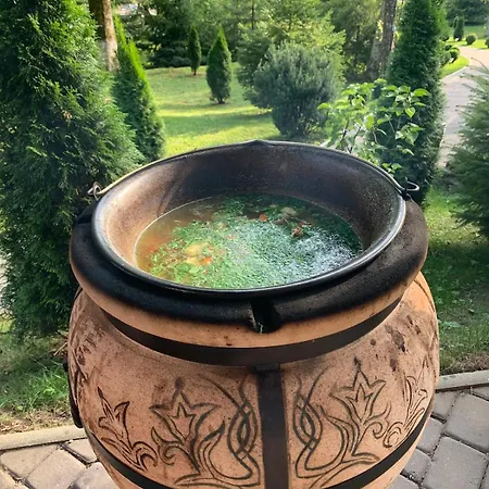 молода вовчиця Apartment Sasivka