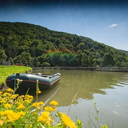 молода вовчиця