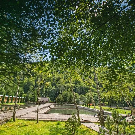 Apartment молода вовчиця