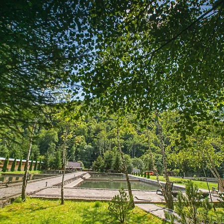 молода вовчиця Apartment