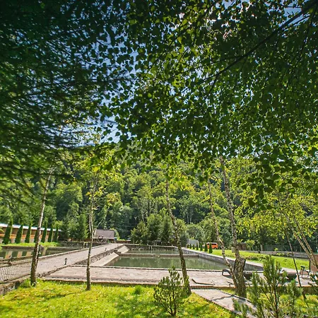 Apartment молода вовчиця Sasivka