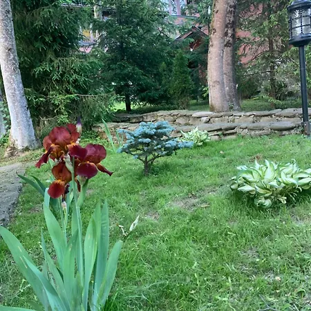 молода вовчиця Sasivka